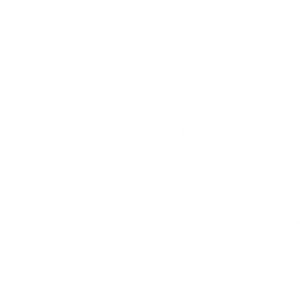 300x300 Vitality Icon