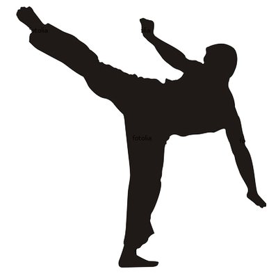 400x400 Icon Martial Arts