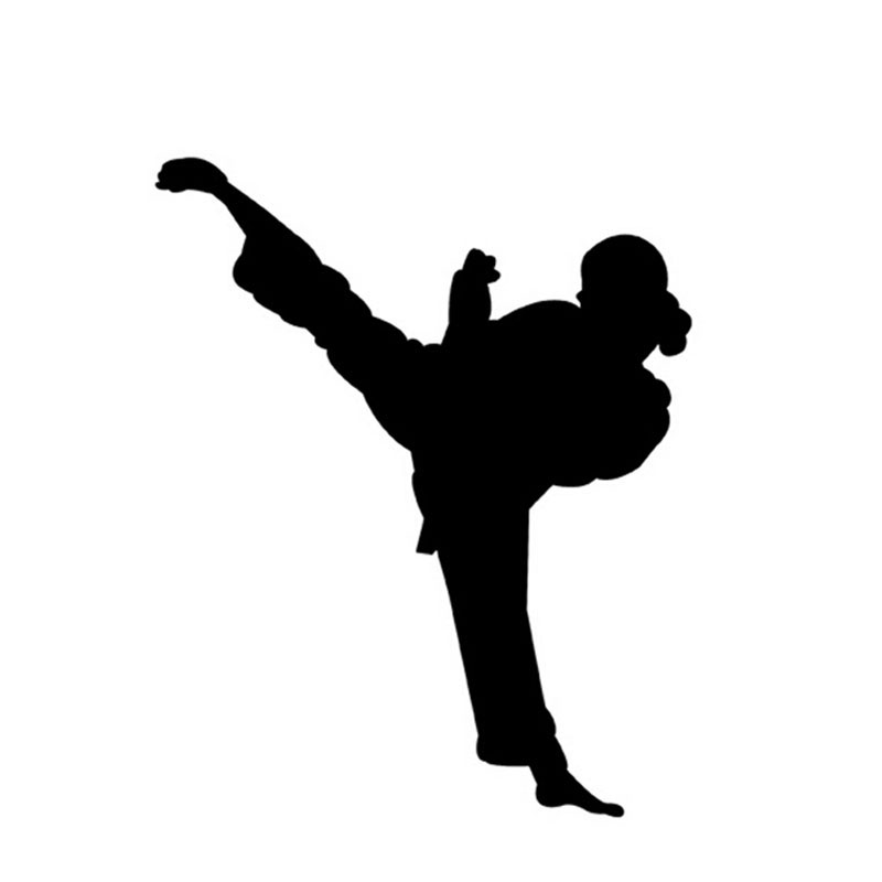 800x800 Kung Fu Icon
