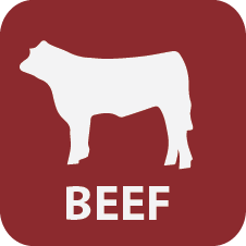 226x226 Beef University Of Maryland Extension