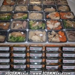 250x250 Iconmeals