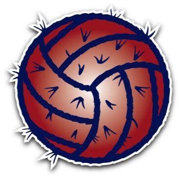 367x367 Club Cactus Juniors Mizuno