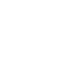 256x256 Free White News Icon