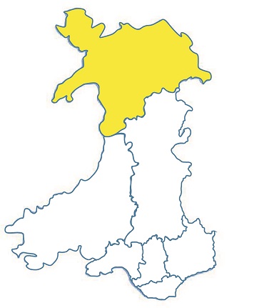 377x431 Nhs Wales Shared Services Partnership