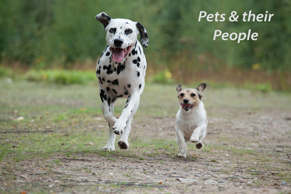 930x620 Event Photography Early Years Photography Icon Imagery