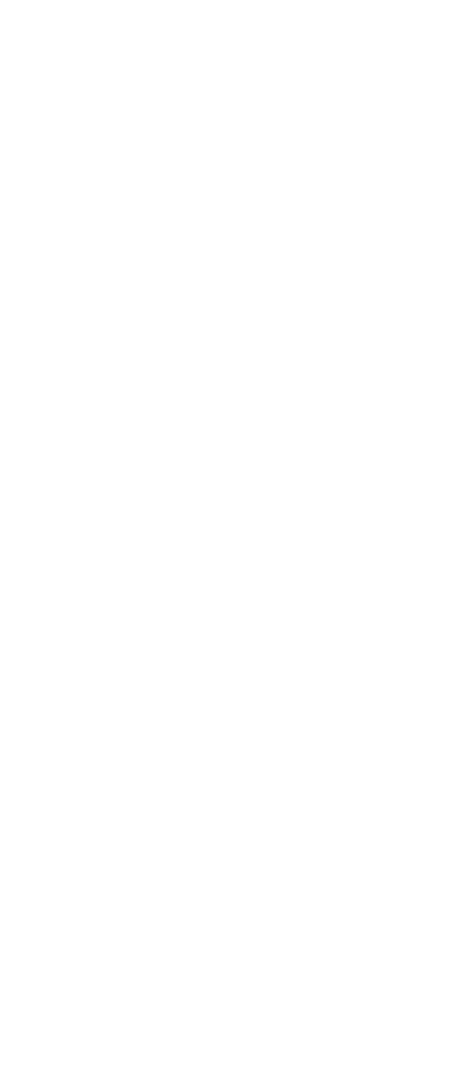 423x993 Web Design Adelaide Icon Website Design Adelaide South Australia