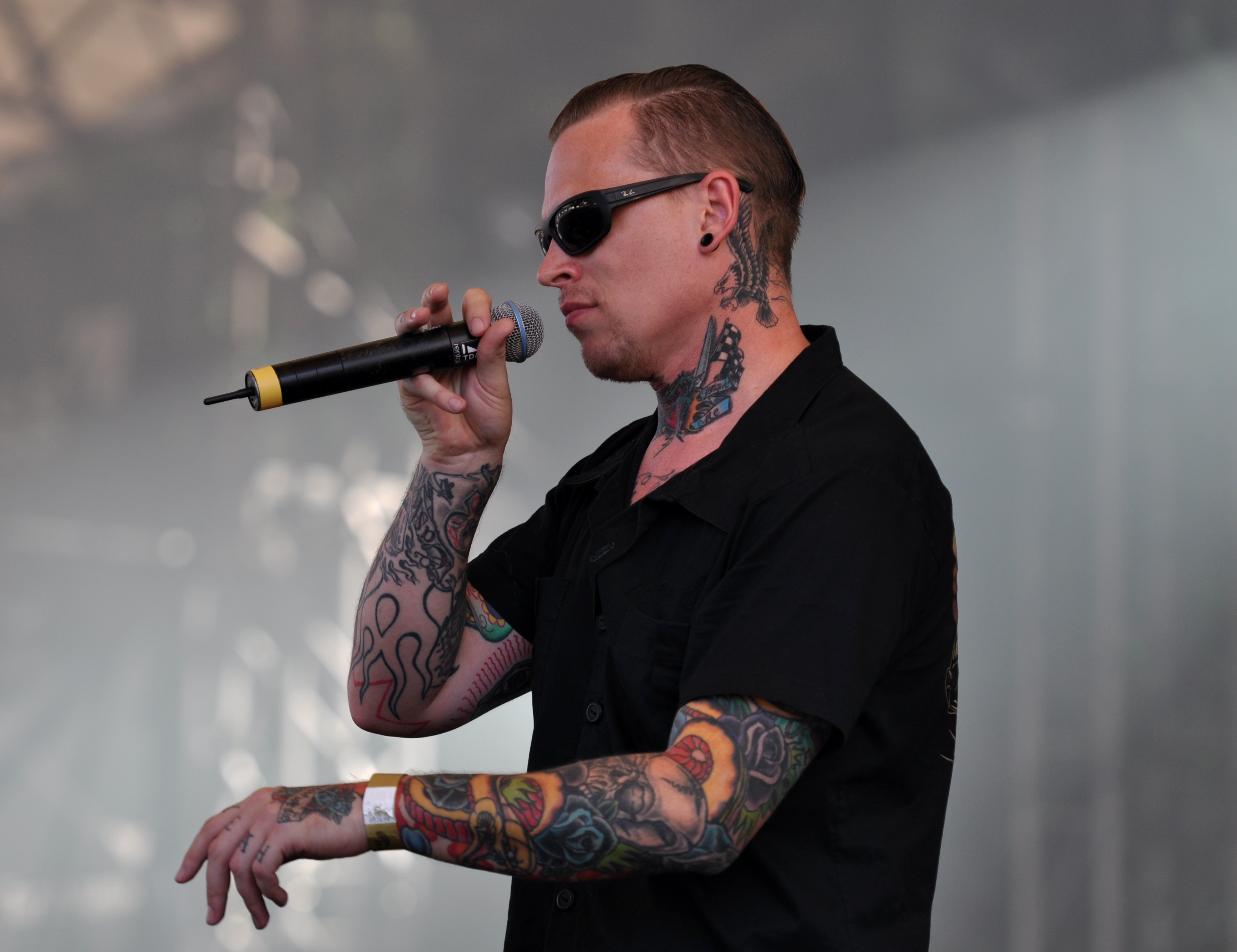 3462x2664 Amphi Icon Of Coil