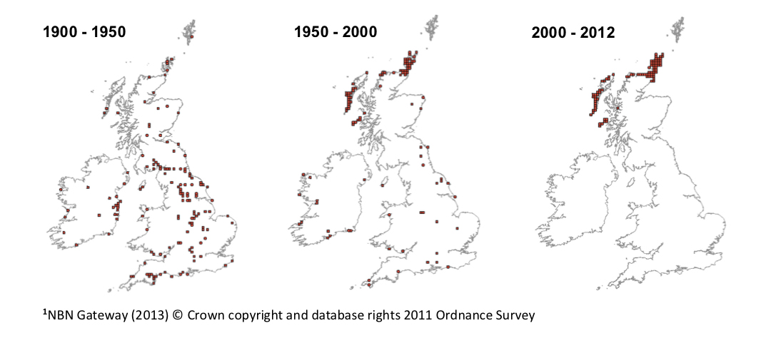 1087x474 A New Highland Icon Scotland's Nature