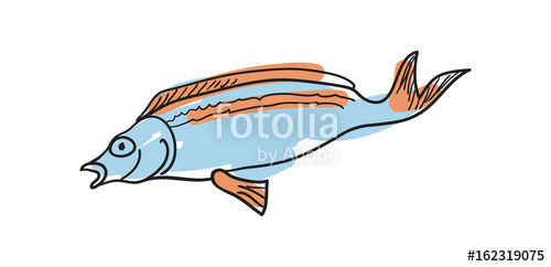 500x242 Ocean Fish Hand Drawn Icon Natural Seafood Sketch, Restaurant