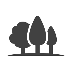 240x240 Summer Camps Transportation And Weather Information