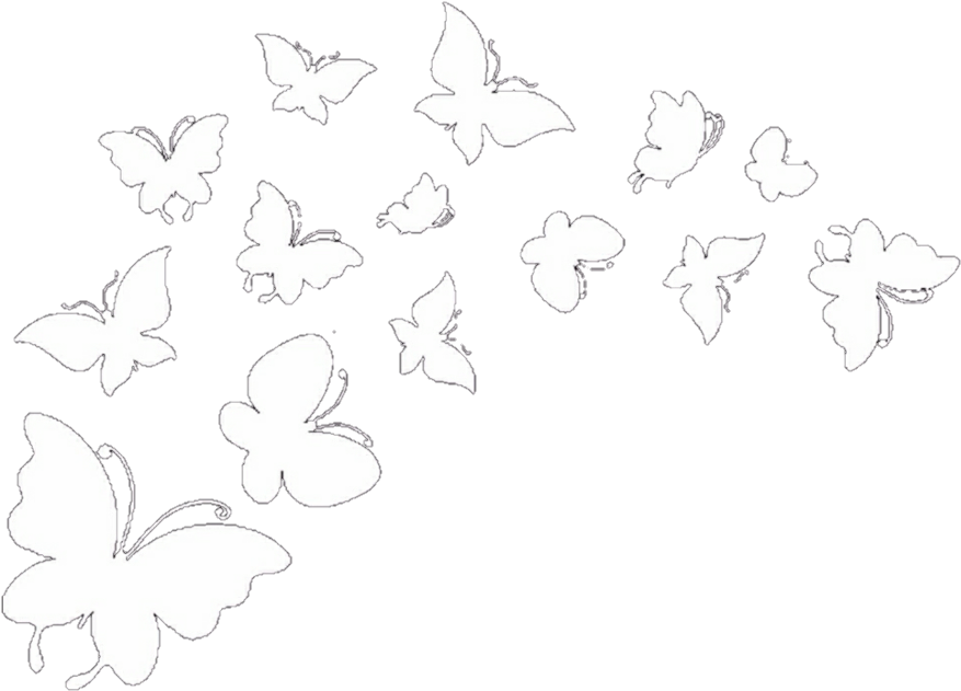 877x631 Butterflies Butterfly Overlay Iconoverlay Icon Overlays