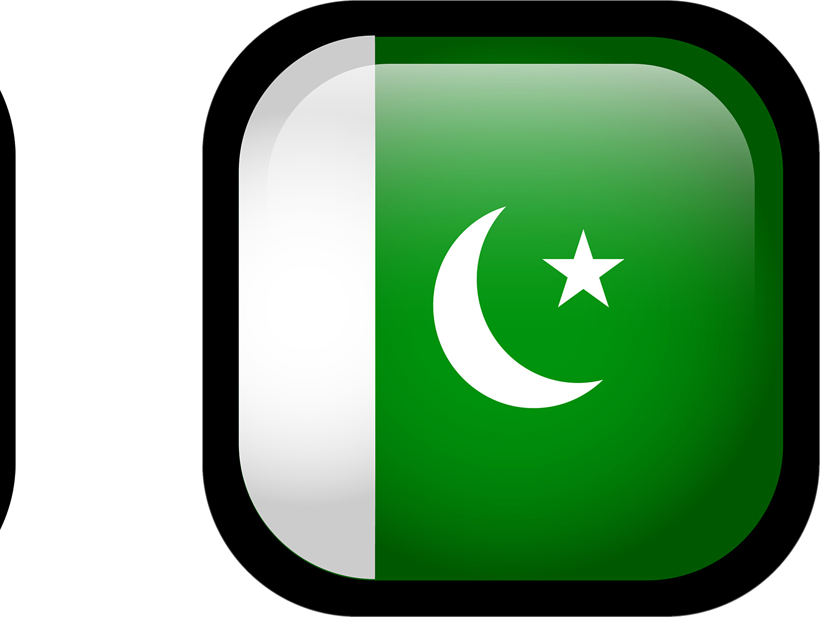 Pakistan Flag Icon 1593x1200 Pakistan Flag Icon