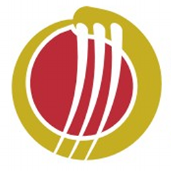 250x250 Gm Cricket Icon Partners Official Online Store