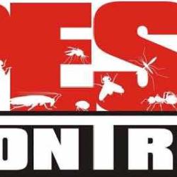 250x250 Just Icon Pest Control Services, Golconda