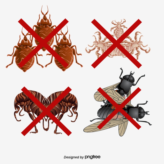 640x640 Pest Control Icon Png, Vector, And Clipart With Transparent