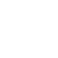 192x192 Pets Icon Material Ui
