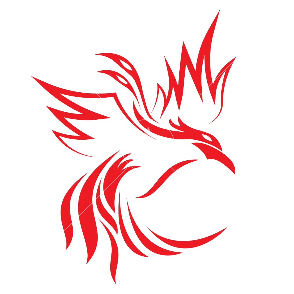 1000x1000 Phoenix Logo Design