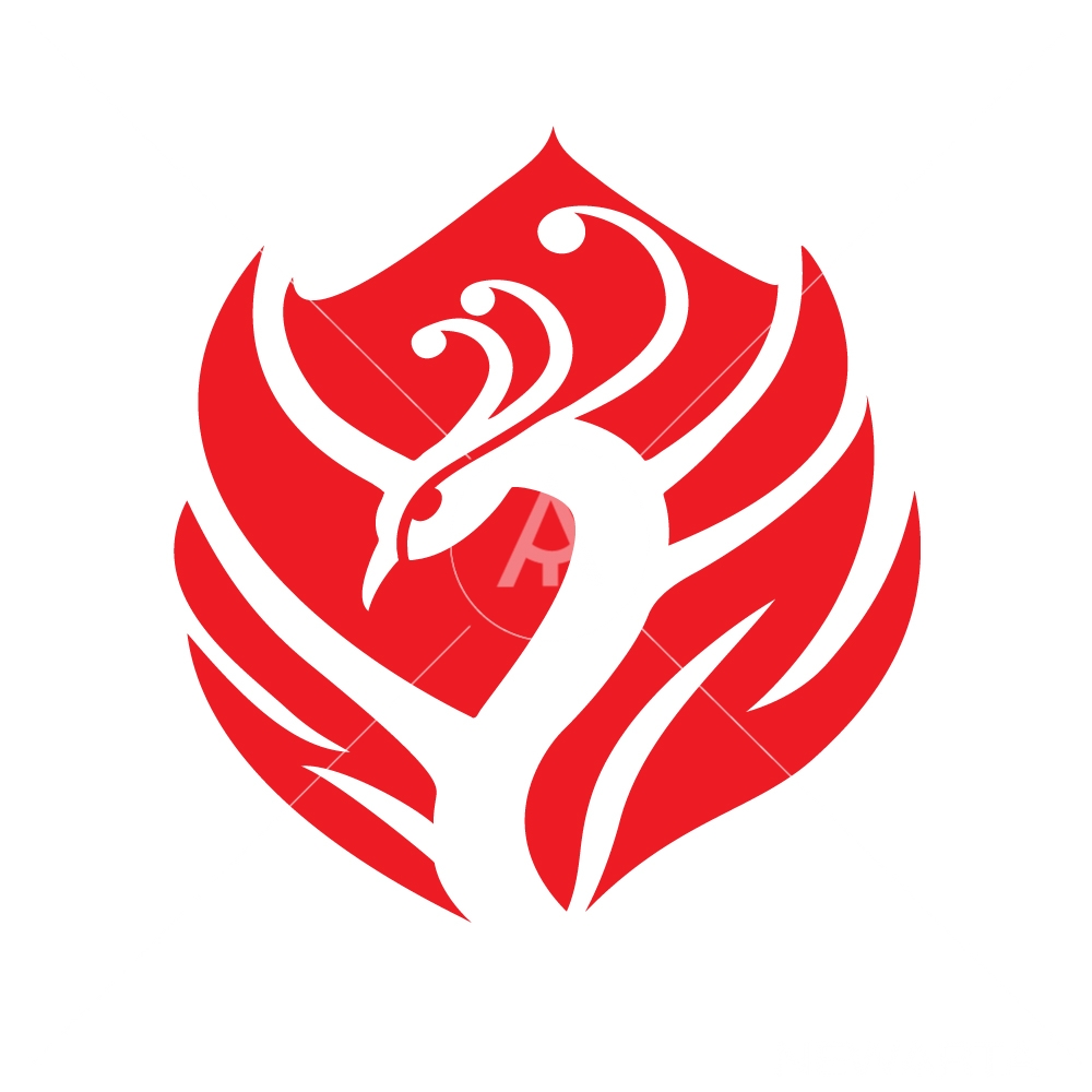 1000x1000 Phoenix Logo Design