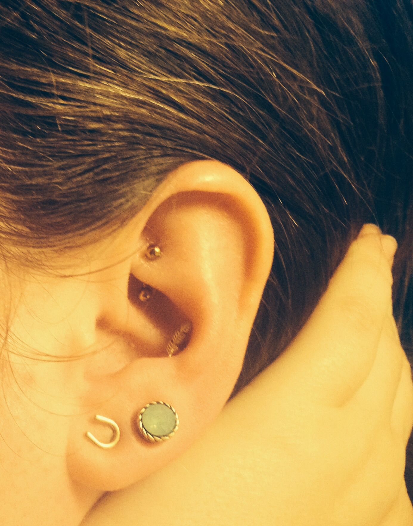 1386x1764 Rook With Anondized Stainless Steel Curved Barbell, Conch