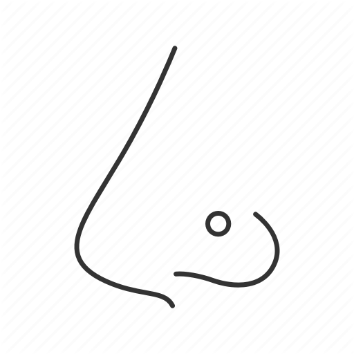 512x512 Adornment, Earring, Jewellery, Nasal, Nose, Pierced, Piercing Icon