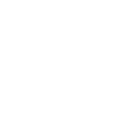 Polymer Icon Material Ui 192x192 Polymer Icon Material Ui