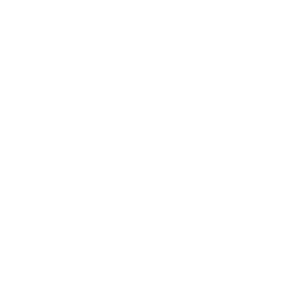 256x256 White Popcorn Icon