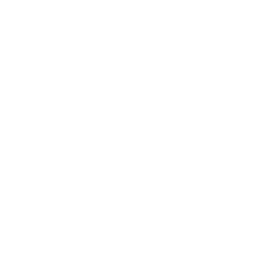 256x256 Free White Restart Icon