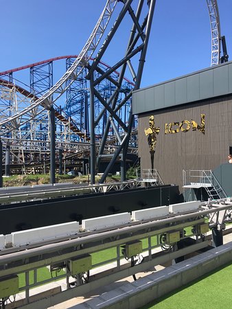 338x450 Icon Rollercoaster