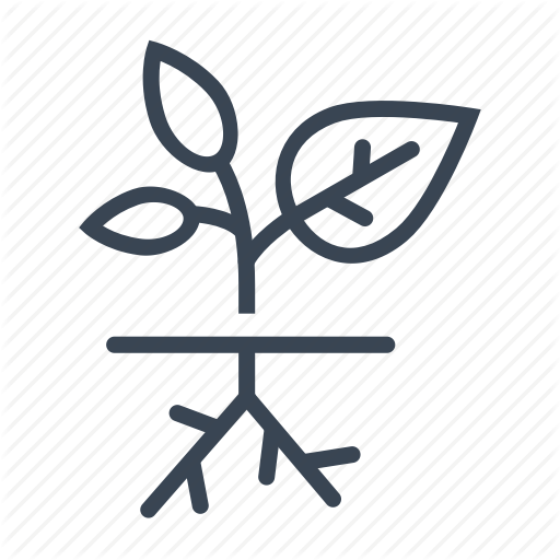 Plant, Root, Roots, Sapling, Young Icon 512x512 Plant, Root, Roots, Sapling, Young Icon