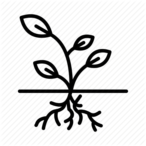 Plant, Root, Roots Icon 512x512 Plant, Root, Roots Icon