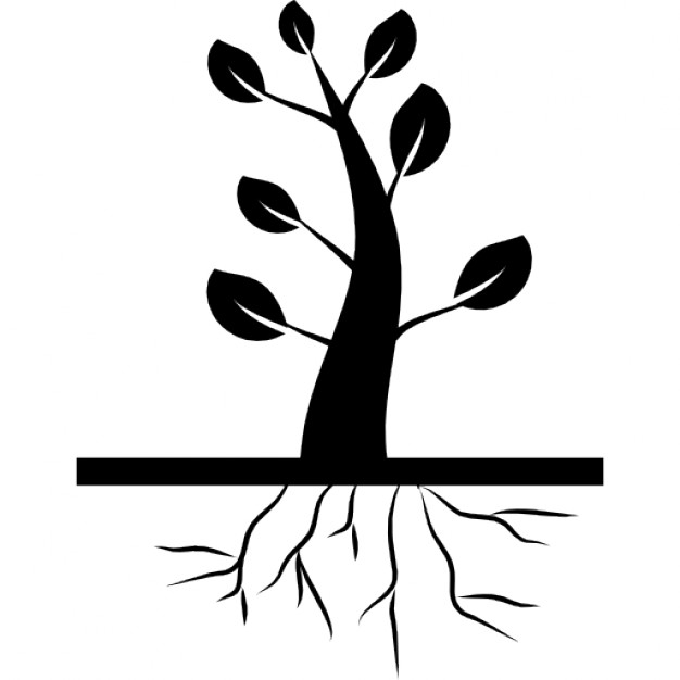 Root Icon 626x626 Root Icon