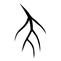 Root Icons 200x200 Root Icons