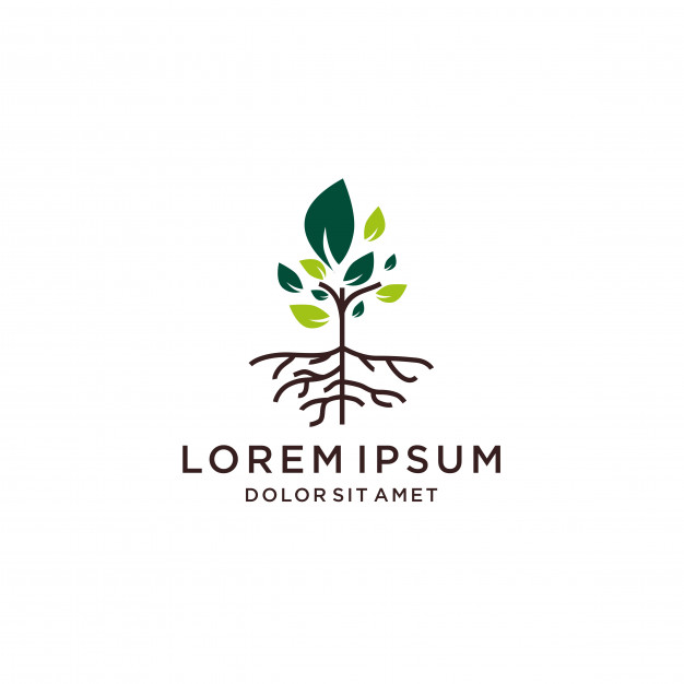 Tree And Root Vector Logo Line Icon Vector Premium Download 626x626 Tree And Root Vector Logo Line Icon Vector Premium Download