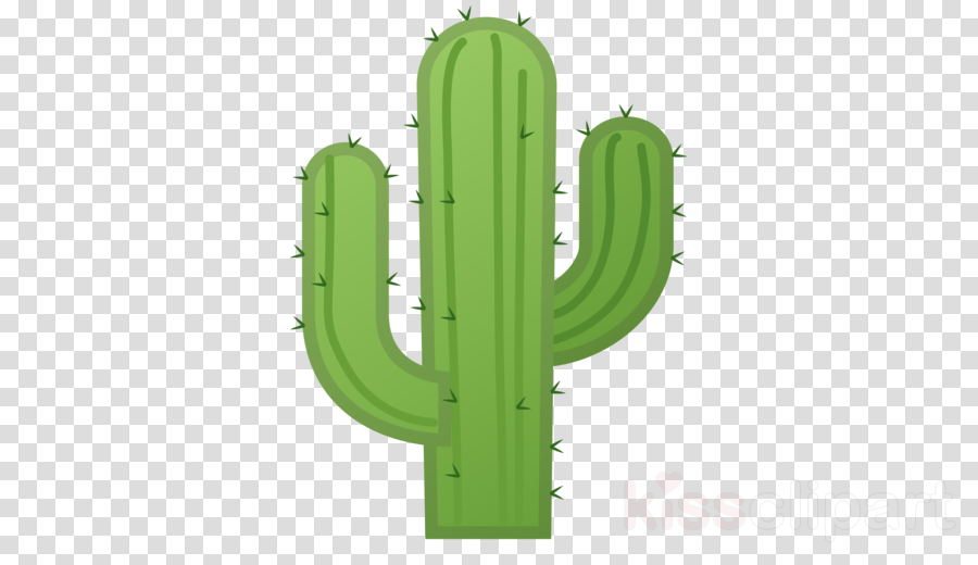 900x520 Download Cactus Icon Png Clipart San Pedro Cactus