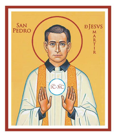 490x581 Filest Pedro Maldonado Icon