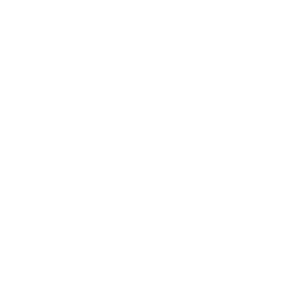 300x300 Icon Sandals