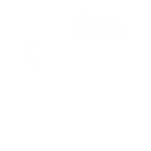 300x300 Icon Service