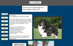 Website Icon Shelties 256x163 Website Icon Shelties