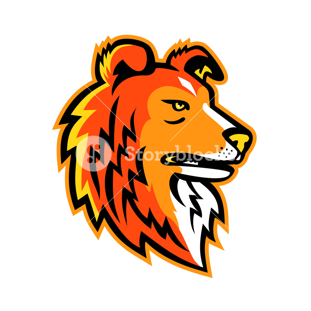 Mascot Icon Illustration Of Head Of A Shetland Sheepdog,shetland 1000x1000 Mascot Icon Illustration Of Head Of A Shetland Sheepdog,shetland