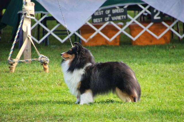 Praline 640x426 Praline