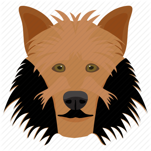 Animal, Dog, Dog Breed, Sheltie, Shetland Sheepdog Icon 512x512 Animal, Dog, Dog Breed, Sheltie, Shetland Sheepdog Icon