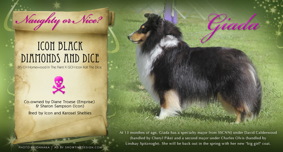 Emprise Shelties Icon Shelties 930x500 Emprise Shelties Icon Shelties