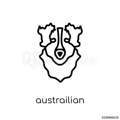500x500 Austrailian Shepard Dog Icon Trendy Modern Flat Linear Vector