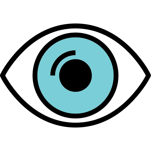 512x512 Eye, Look, No Hide, See, Show, Watch Icon