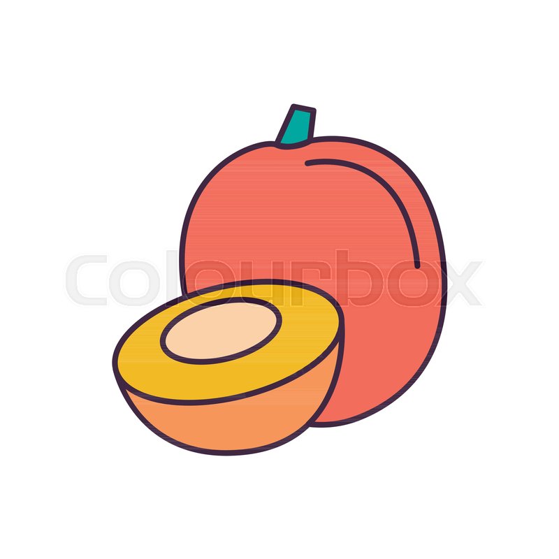 800x800 Fruit Cartoon Icon Singapore Symbol Stock Vector Colourbox