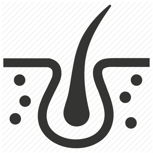 512x512 Dermatology, Follicle, Hair, Skn