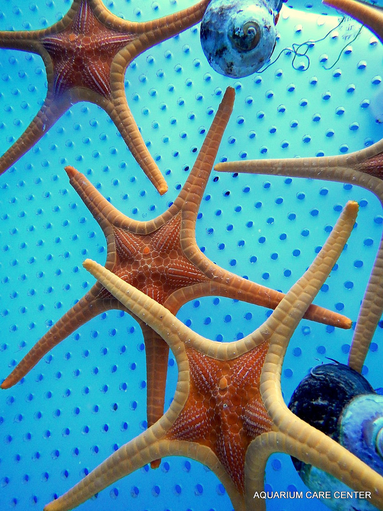 768x1024 Largest Fish Sale Ever