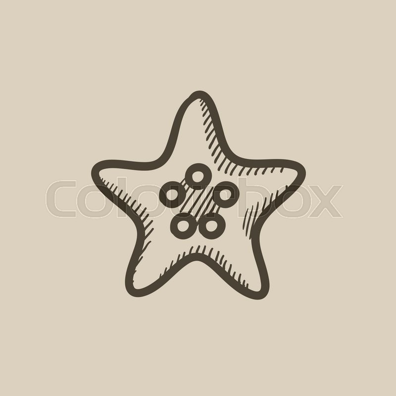 800x800 Starfish Vector Sketch Icon Isolated Stock Vector Colourbox