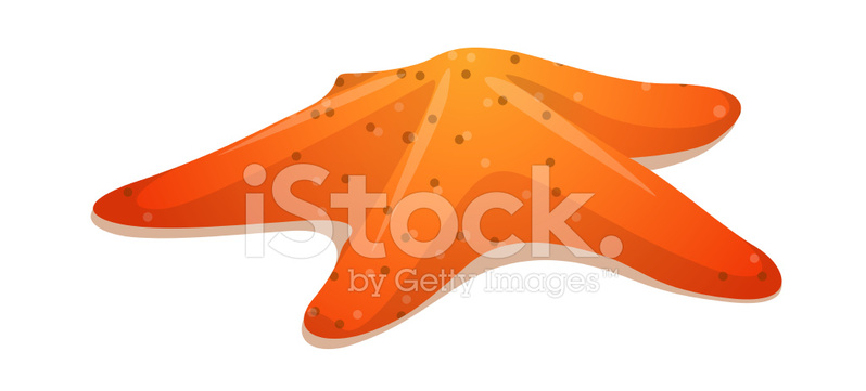798x361 Vector Icon Starfish Stock Vector