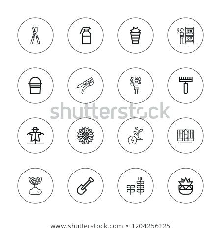 450x470 Synonym For Gardener Chaudieres